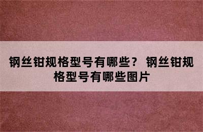 钢丝钳规格型号有哪些？ 钢丝钳规格型号有哪些图片